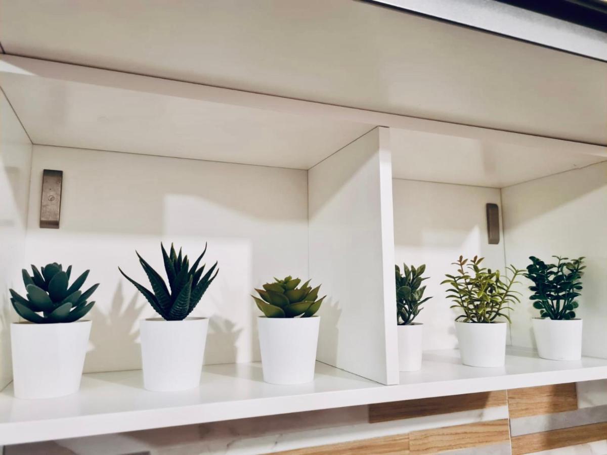 St. Peter'S Stone Apartment Rome Luaran gambar